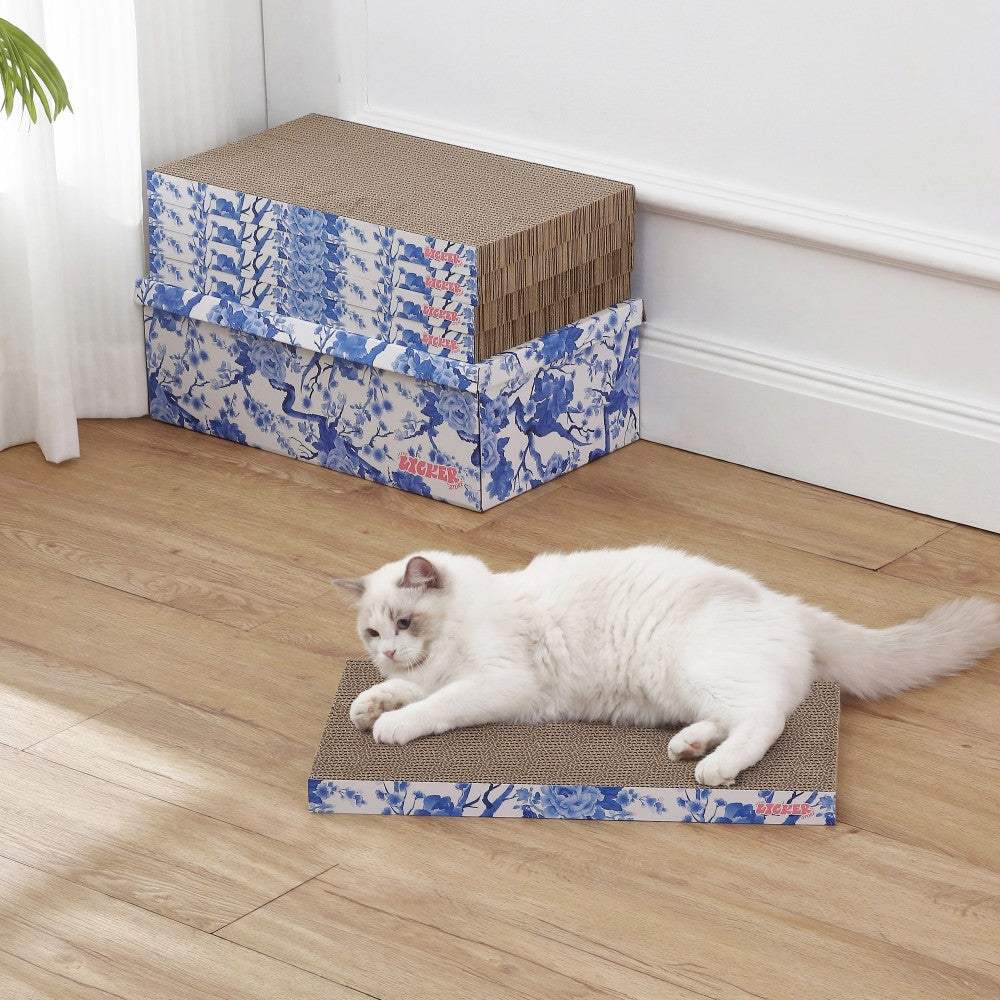 Naomi Cat Scratcher