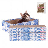 Naomi Cat Scratcher