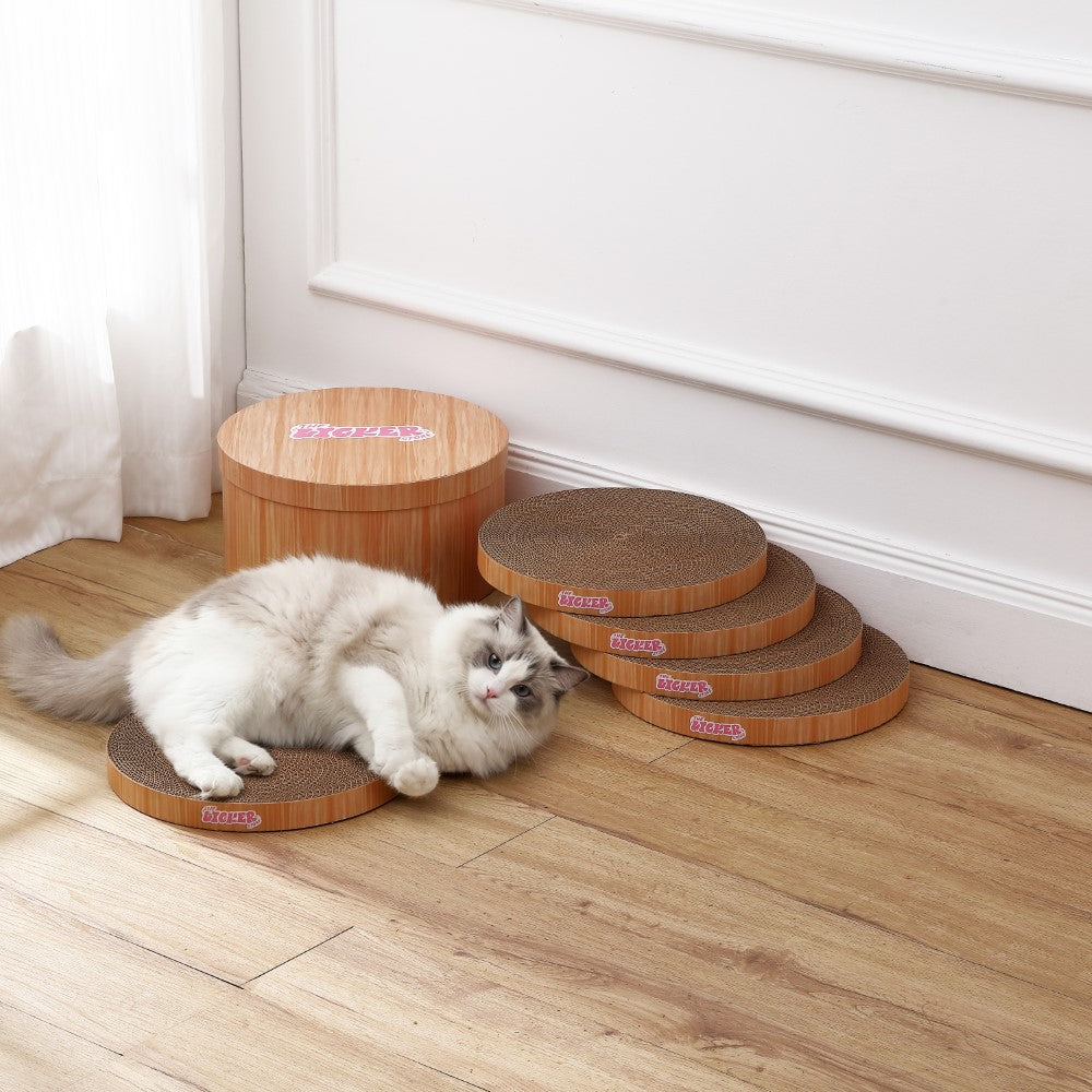 Kate Cat Scratcher