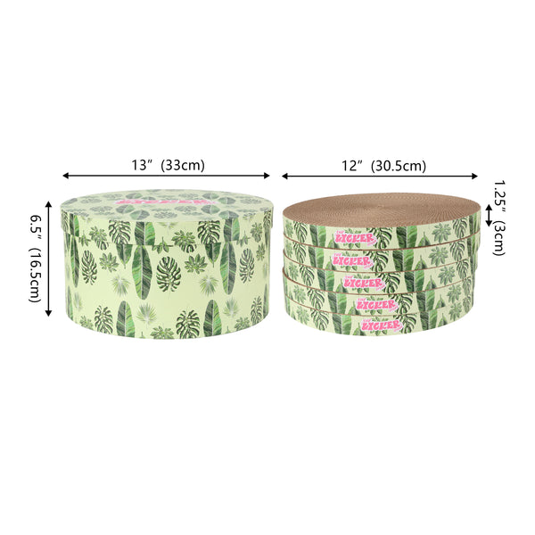 Dimension Image Leaf Mint/Green (5-Pack)