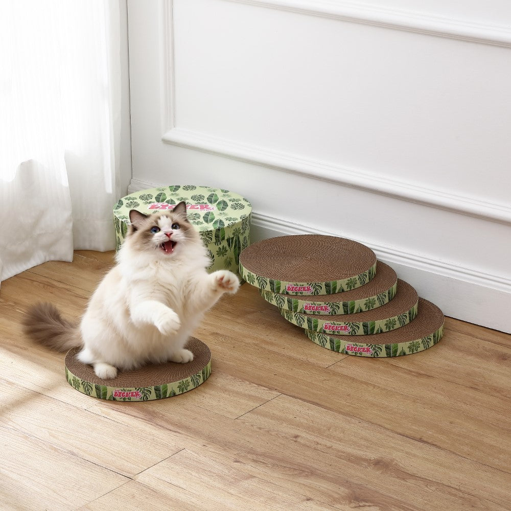 Kate Cat Scratcher