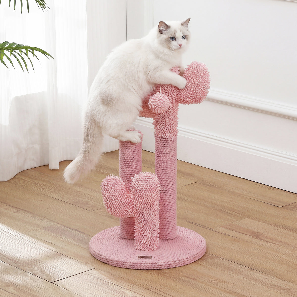 Marfa Cat Scratcher