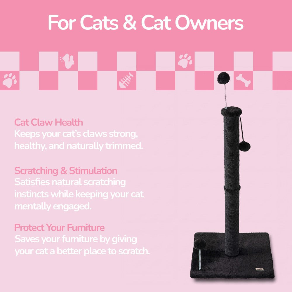 Rylie Cat Scratcher