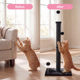 Rylie Cat Scratcher