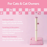 Rylie Cat Scratcher