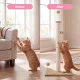 Rylie Cat Scratcher