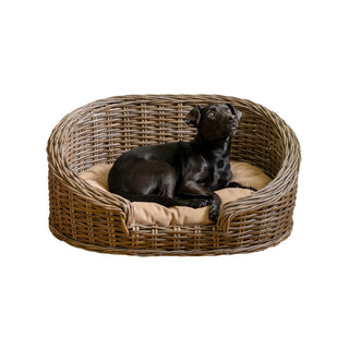 Curvy Rattan Pet Bed with Machine-Washable Cushion