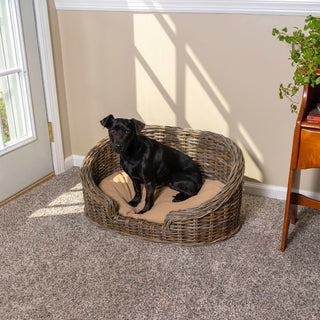 Curvy Rattan Pet Bed with Machine-Washable Cushion