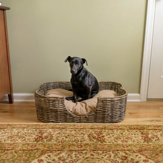 Scallop Dog Bed