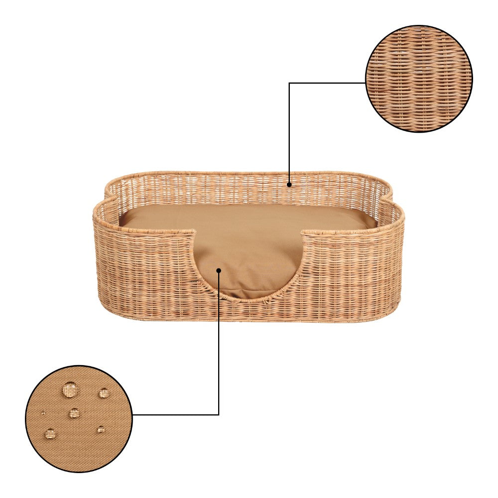 Scallop Dog Bed
