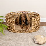 Giri 24" x 18" Modern Bohemian Handwoven Hyacinth Open-Weave Oval Pet Bed with Machine-Washable Cushion