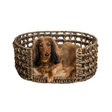 Giri 24" x 18" Modern Bohemian Handwoven Hyacinth Open-Weave Oval Pet Bed with Machine-Washable Cushion