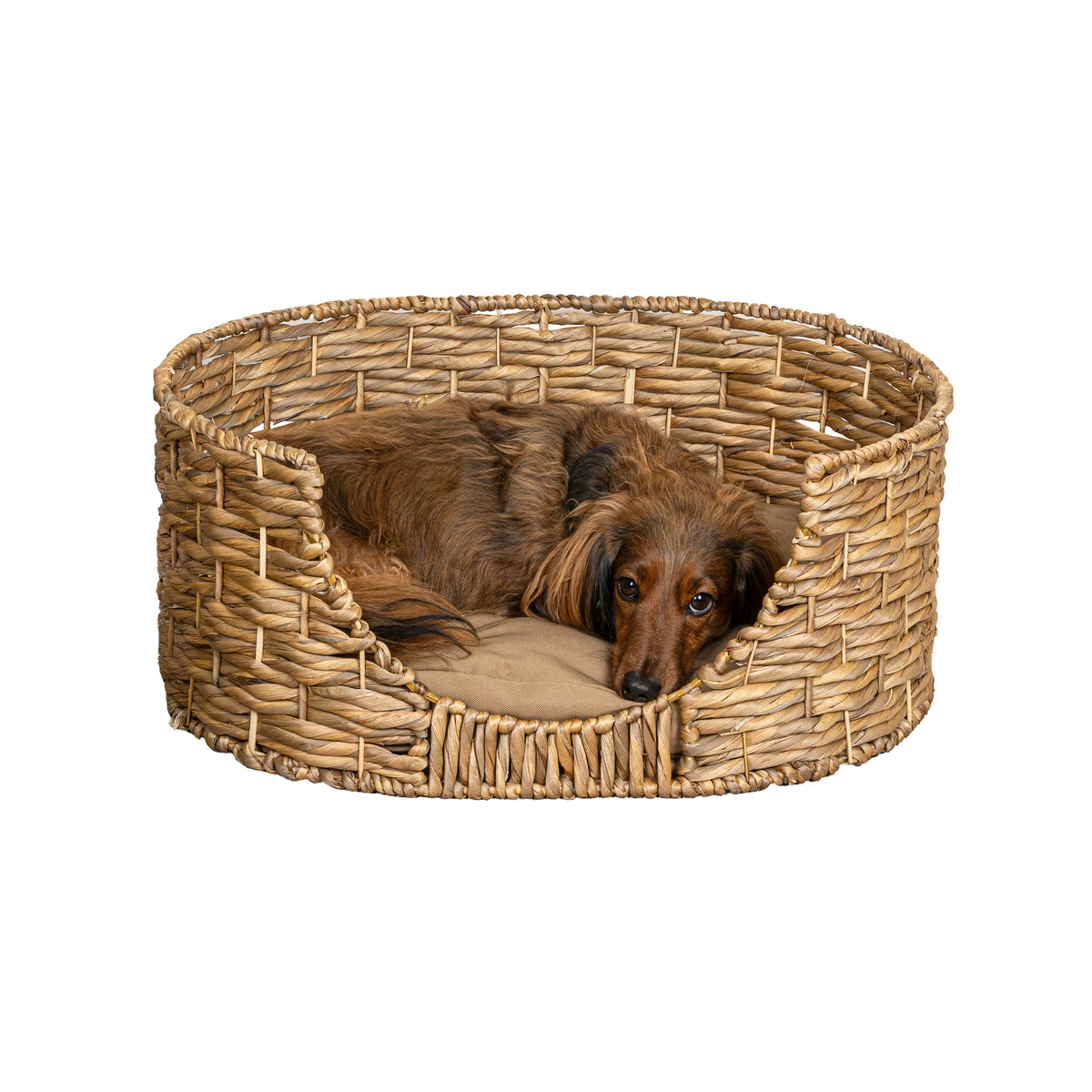 Nath 24" x 18" Classic Farmhouse Handwoven Hyacinth Oval Pet Bed with Machine-Washable Cushion