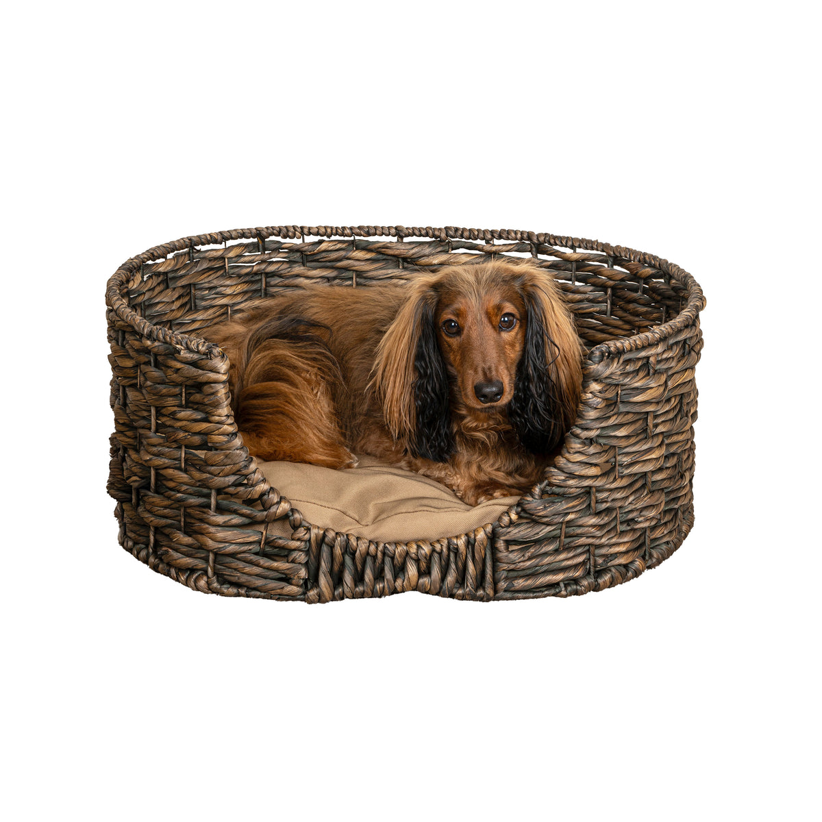 Nath 24" x 18" Classic Farmhouse Handwoven Hyacinth Oval Pet Bed with Machine-Washable Cushion