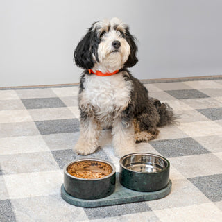 PinePaw Small/Medium Modern Weighted Double Marble and Stainless Steel Bowl 12oz (1.5 Cups) Feeder with Non-Slip Marble Tray Set