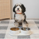 PinePaw Small/Medium Modern Weighted Double Marble and Stainless Steel Bowl 12oz (1.5 Cups) Feeder with Non-Slip Marble Tray Set