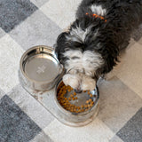 PinePaw Small/Medium Modern Weighted Double Marble and Stainless Steel Bowl 12oz (1.5 Cups) Feeder with Non-Slip Marble Tray Set