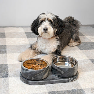 PinePaw Small/Medium Modern Weighted Double Marble and Stainless Steel Bowl 12oz (1.5 Cups) Feeder with Non-Slip Marble Tray Set