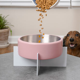 LeafLick Small/Medium Concrete and Stainless Steel Bowl 16oz (2 Cups) with Metal Stand Pet Feeder