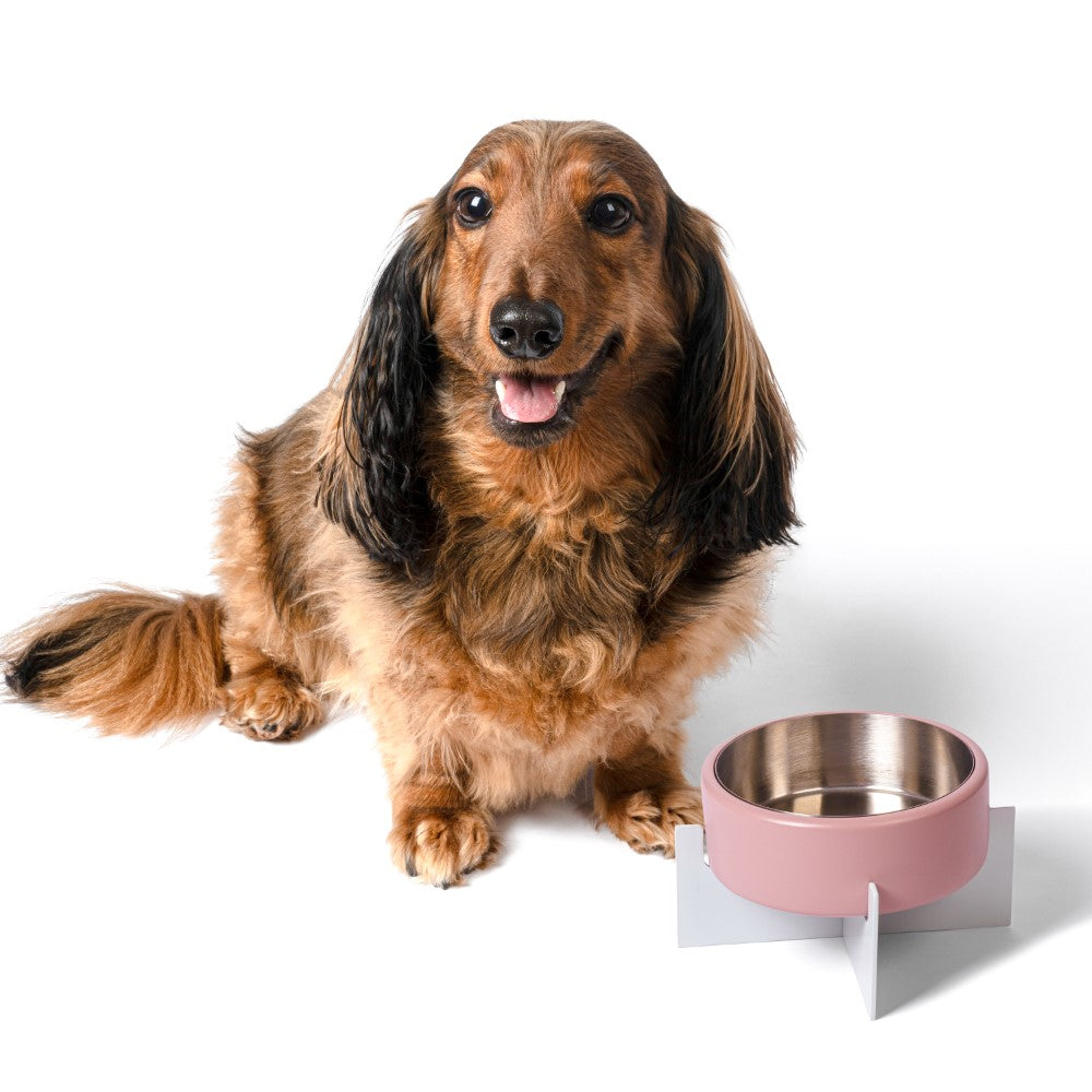LeafLick Small/Medium Concrete and Stainless Steel Bowl 16oz (2 Cups) with Metal Stand Pet Feeder
