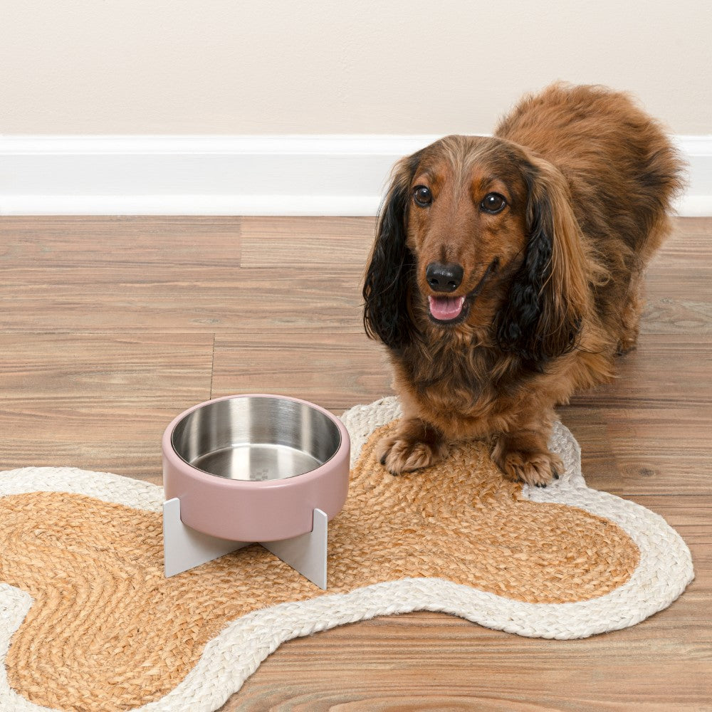 LeafLick Small/Medium Concrete and Stainless Steel Bowl 16oz (2 Cups) with Metal Stand Pet Feeder