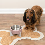 LeafLick Small/Medium Concrete and Stainless Steel Bowl 16oz (2 Cups) with Metal Stand Pet Feeder