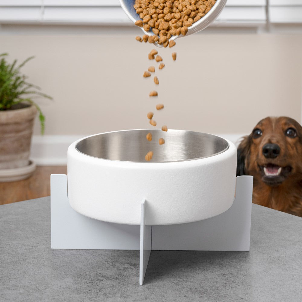 LeafLick Small/Medium Concrete and Stainless Steel Bowl 16oz (2 Cups) with Metal Stand Pet Feeder