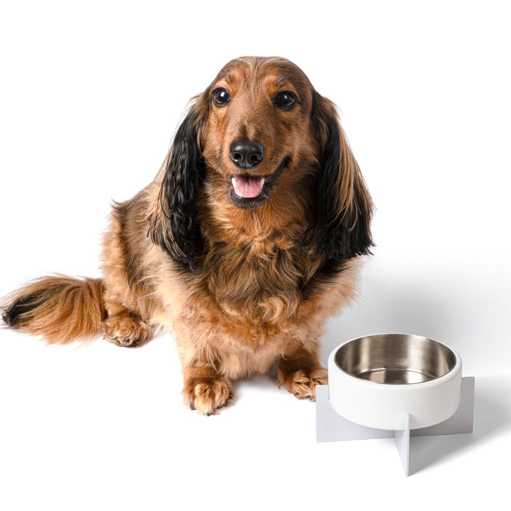 LeafLick Small/Medium Concrete and Stainless Steel Bowl 16oz (2 Cups) with Metal Stand Pet Feeder