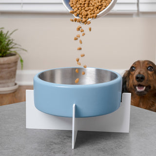 LeafLick Small/Medium Concrete and Stainless Steel Bowl 16oz (2 Cups) with Metal Stand Pet Feeder