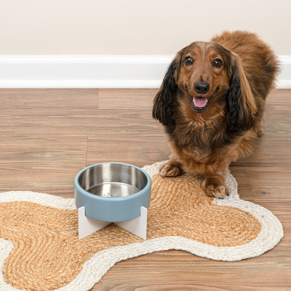 LeafLick Small/Medium Concrete and Stainless Steel Bowl 16oz (2 Cups) with Metal Stand Pet Feeder