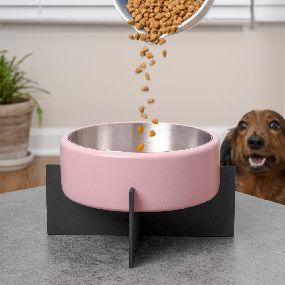 LeafLick Small/Medium Concrete and Stainless Steel Bowl 16oz (2 Cups) with Metal Stand Pet Feeder