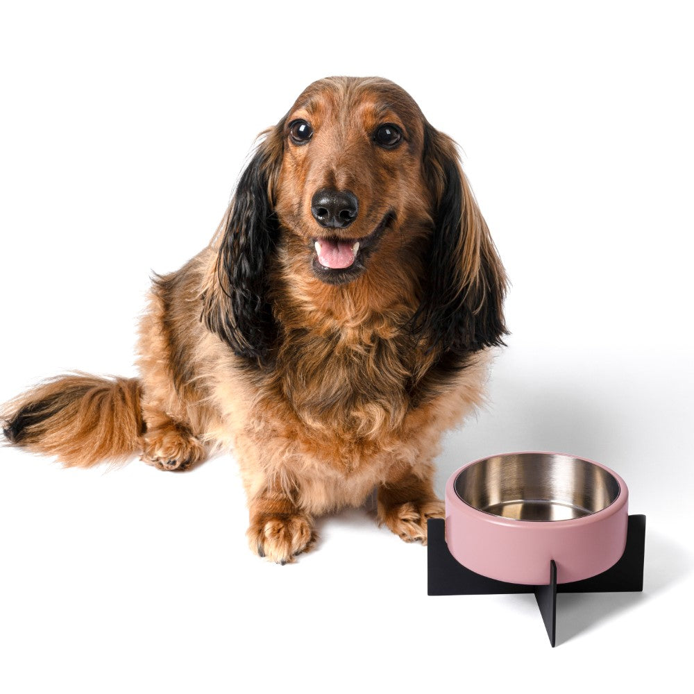 LeafLick Small/Medium Concrete and Stainless Steel Bowl 16oz (2 Cups) with Metal Stand Pet Feeder
