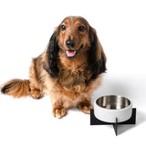 LeafLick Small/Medium Concrete and Stainless Steel Bowl 16oz (2 Cups) with Metal Stand Pet Feeder
