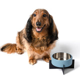 LeafLick Small/Medium Concrete and Stainless Steel Bowl 16oz (2 Cups) with Metal Stand Pet Feeder