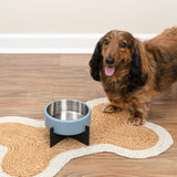 LeafLick Small/Medium Concrete and Stainless Steel Bowl 16oz (2 Cups) with Metal Stand Pet Feeder