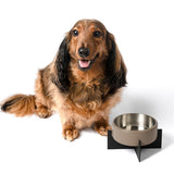LeafLick Small/Medium Concrete and Stainless Steel Bowl 16oz (2 Cups) with Metal Stand Pet Feeder