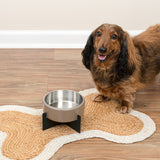 LeafLick Small/Medium Concrete and Stainless Steel Bowl 16oz (2 Cups) with Metal Stand Pet Feeder