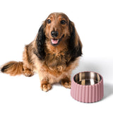 RiverTail Ridge Small/Medium Slanted Concrete and Stainless Steel Bowl 16oz (2 Cups) Pet Feeder
