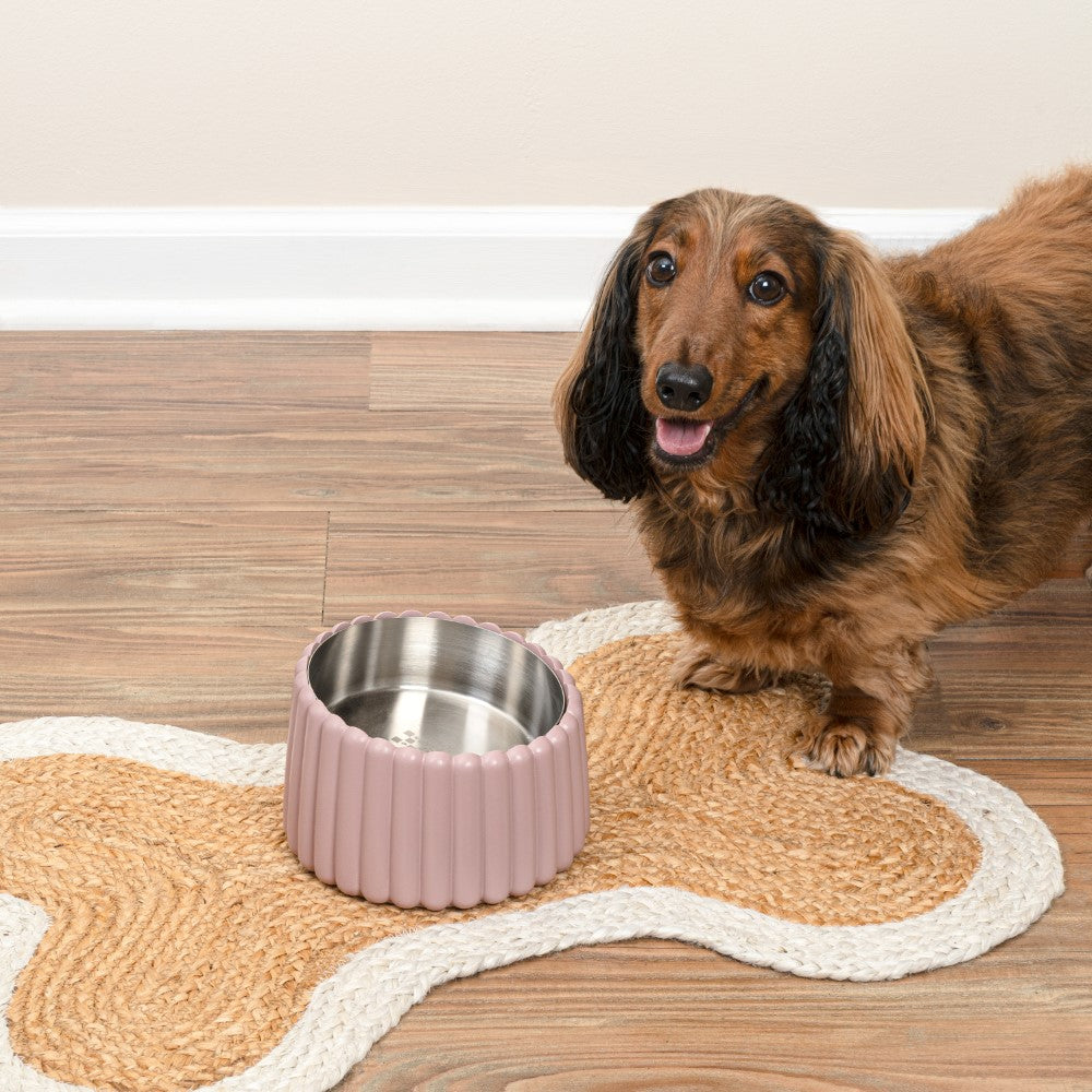 RiverTail Ridge Small/Medium Slanted Concrete and Stainless Steel Bowl 16oz (2 Cups) Pet Feeder