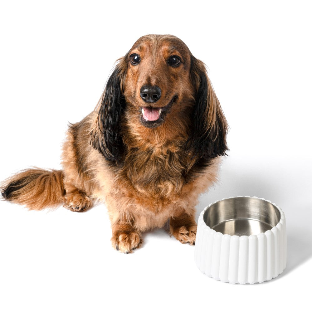 RiverTail Ridge Small/Medium Slanted Concrete and Stainless Steel Bowl 16oz (2 Cups) Pet Feeder