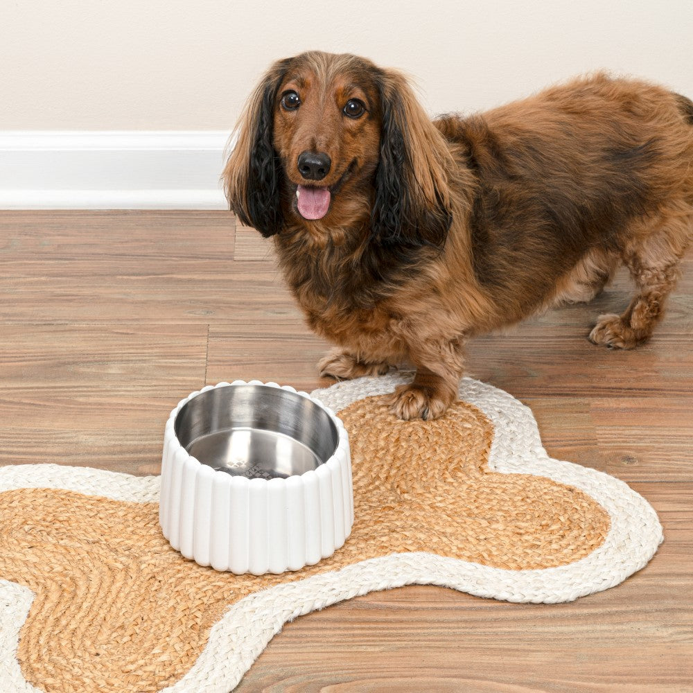 RiverTail Ridge Small/Medium Slanted Concrete and Stainless Steel Bowl 16oz (2 Cups) Pet Feeder
