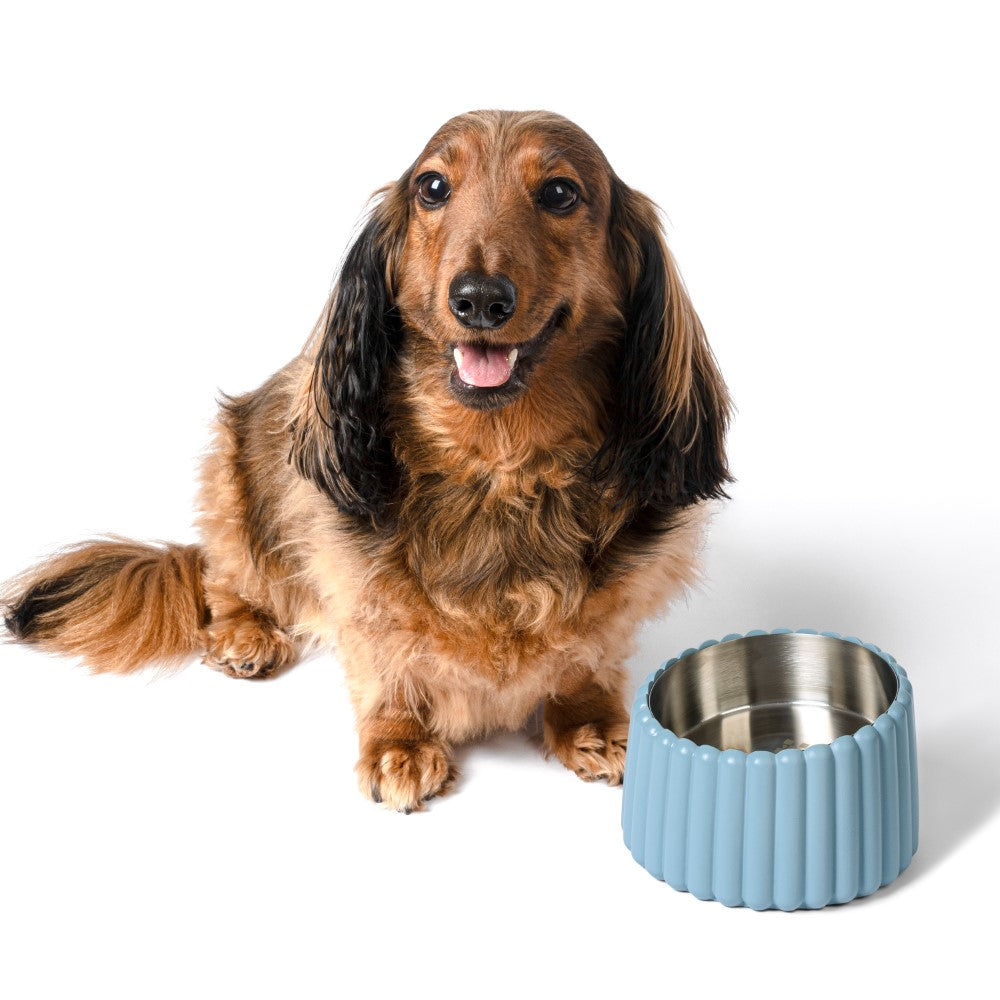 RiverTail Ridge Small/Medium Slanted Concrete and Stainless Steel Bowl 16oz (2 Cups) Pet Feeder