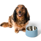 RiverTail Ridge Small/Medium Slanted Concrete and Stainless Steel Bowl 16oz (2 Cups) Pet Feeder