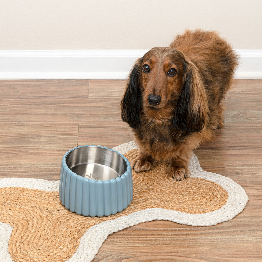 RiverTail Ridge Small/Medium Slanted Concrete and Stainless Steel Bowl 16oz (2 Cups) Pet Feeder