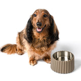 RiverTail Ridge Small/Medium Slanted Concrete and Stainless Steel Bowl 16oz (2 Cups) Pet Feeder