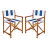 Blue and White Stripe/Teak Brown (Set of 2)