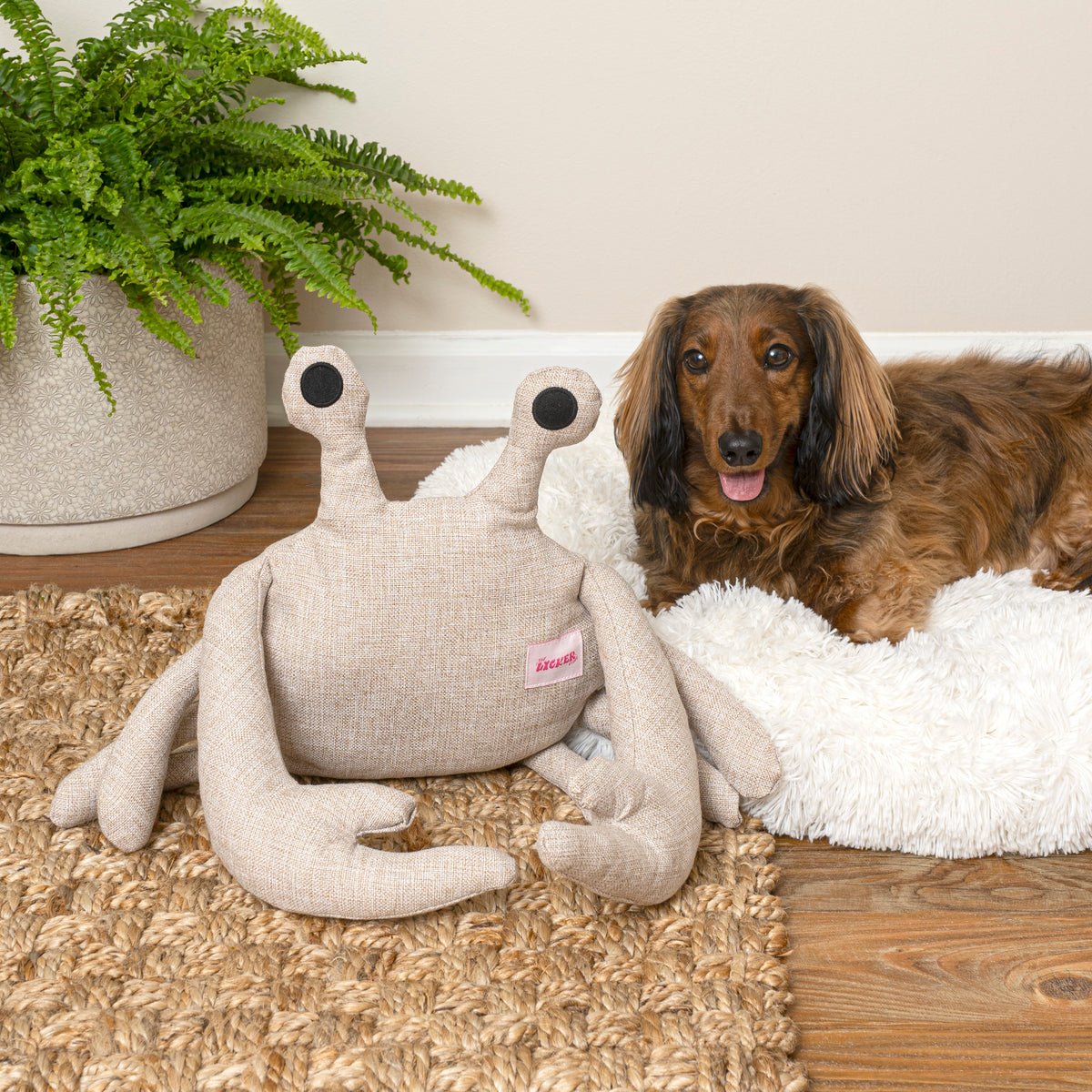 Edisto Stuffed Dog Toy Set