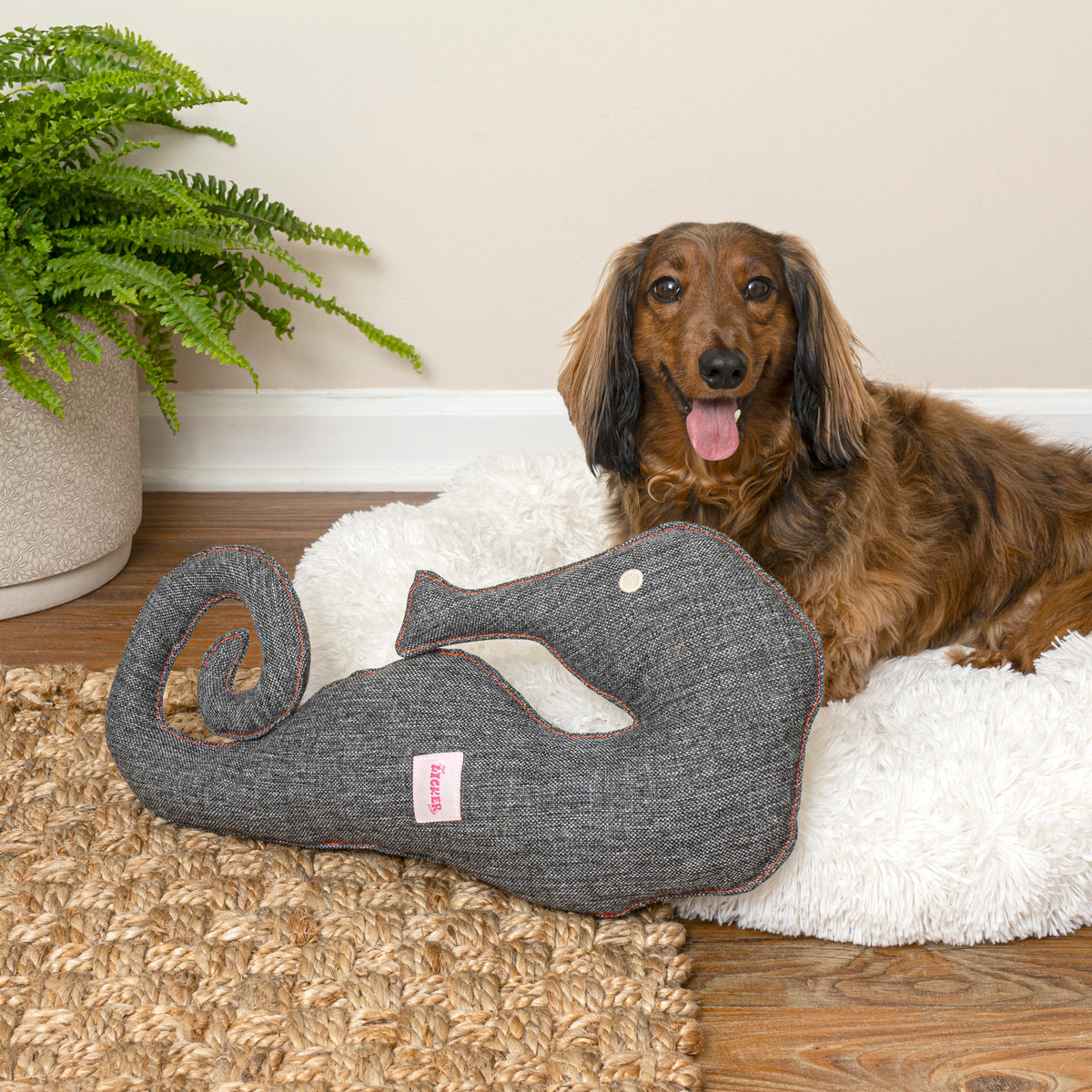 Edisto Stuffed Dog Toy Set