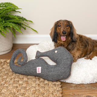 Edisto Stuffed Dog Toy Set