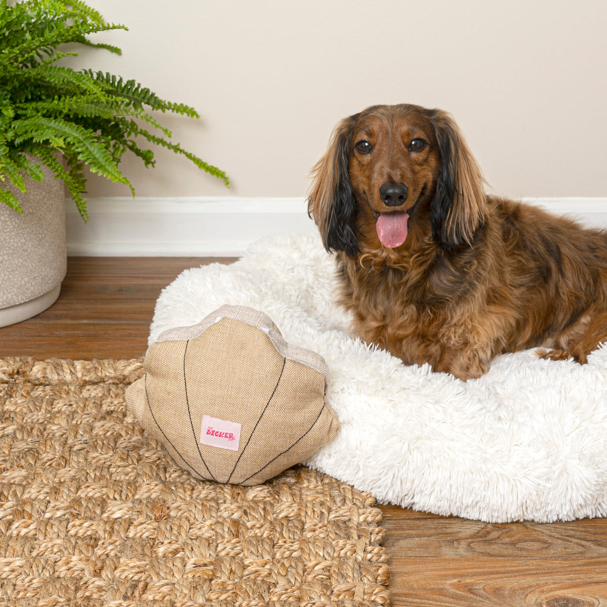 Edisto Stuffed Dog Toy Set